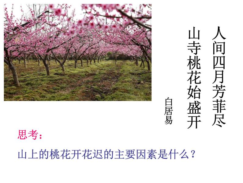 苏教版七年级生物上册 第五章 第五节 植物的开花和结果_（课件）06