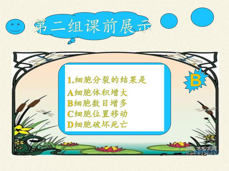 苏教版七年级生物上册 第四章 第一节 单细胞生物(课件)第3页