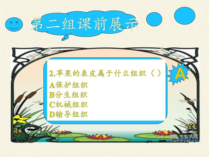 苏教版七年级生物上册 第四章 第一节 单细胞生物(课件)第4页