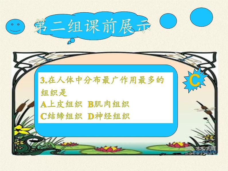 苏教版七年级生物上册 第四章 第一节 单细胞生物(课件)第5页