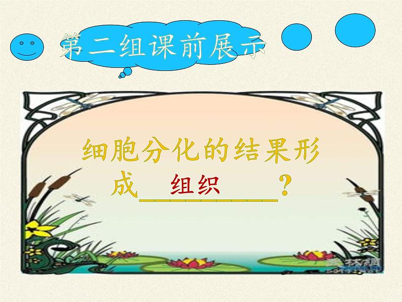 苏教版七年级生物上册 第四章 第一节 单细胞生物(课件)第7页