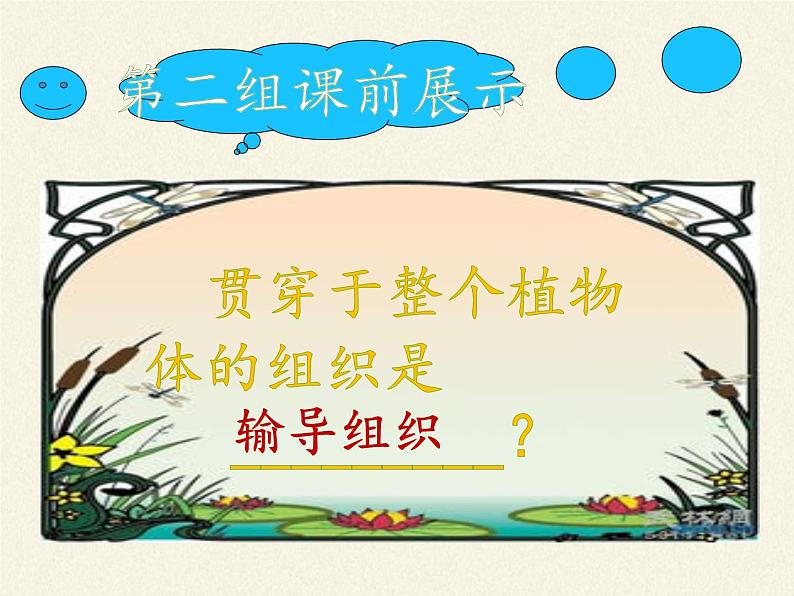 苏教版七年级生物上册 第四章 第一节 单细胞生物(课件)第8页