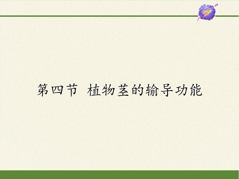 苏教版七年级生物上册 第五章 第四节 植物茎的输导功能(4)(课件)01