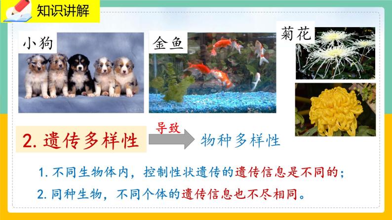 1.1《形形色色的生物》课件PPT+教案+同步练习08