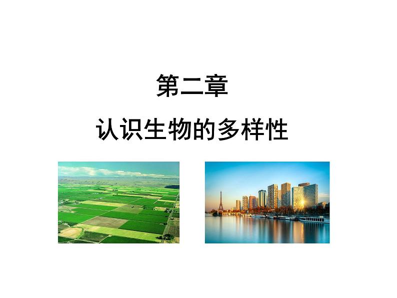 6.2认识生物的多样性课件PPT01