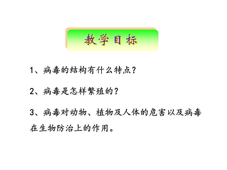 人教版初中生物八年级上册 5.5病毒课件第2页