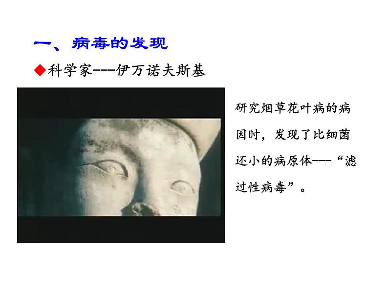 人教版初中生物八年级上册 5.5病毒课件第3页