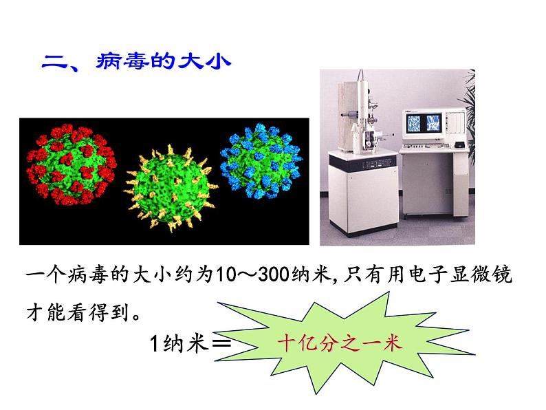 人教版初中生物八年级上册 5.5病毒课件第6页