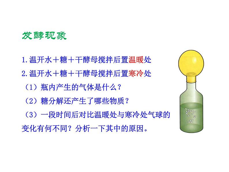 5.4.5 人类对细菌和真菌的利用课件PPT第4页