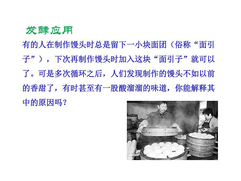 5.4.5 人类对细菌和真菌的利用课件PPT第6页