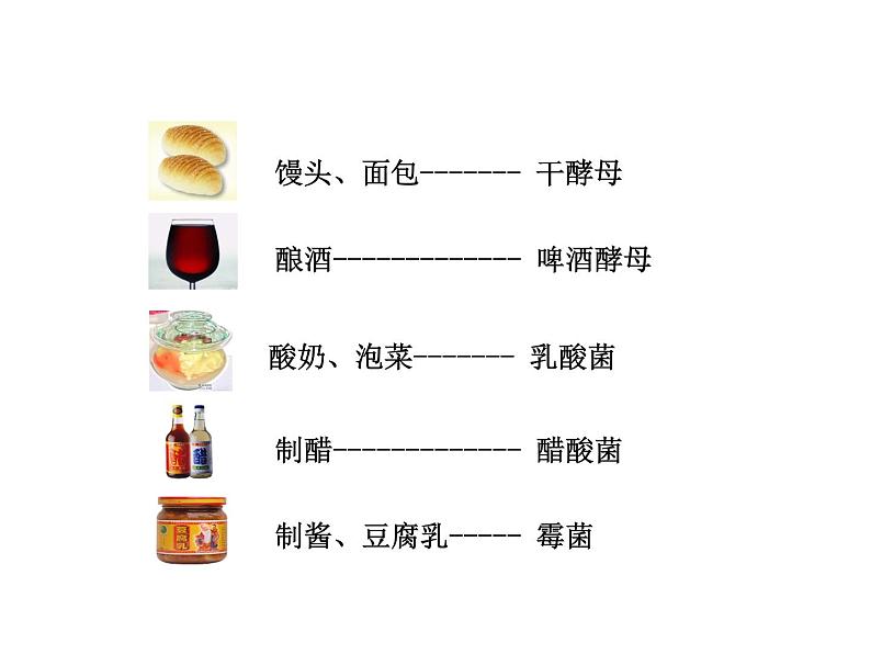 5.4.5 人类对细菌和真菌的利用课件PPT第8页