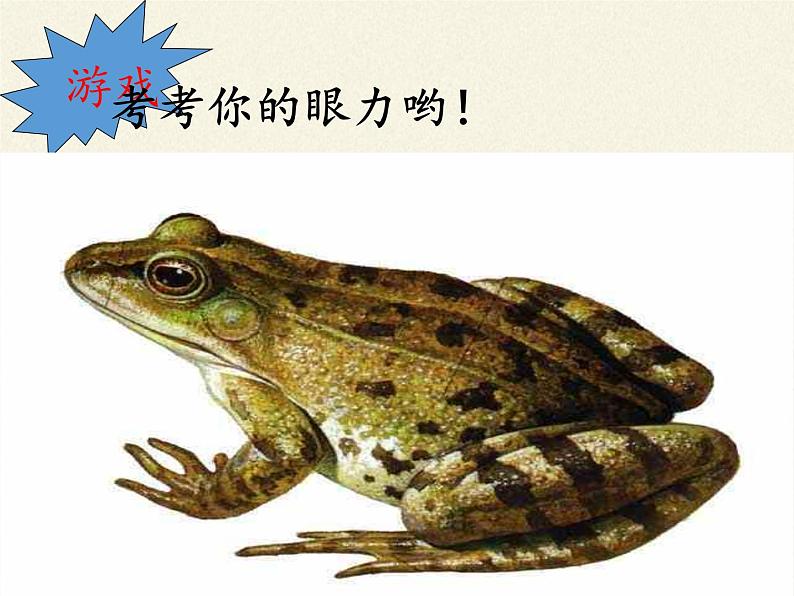 苏教版八年级生物上册 14.2 千姿百态的动物世界(1) 课件第6页