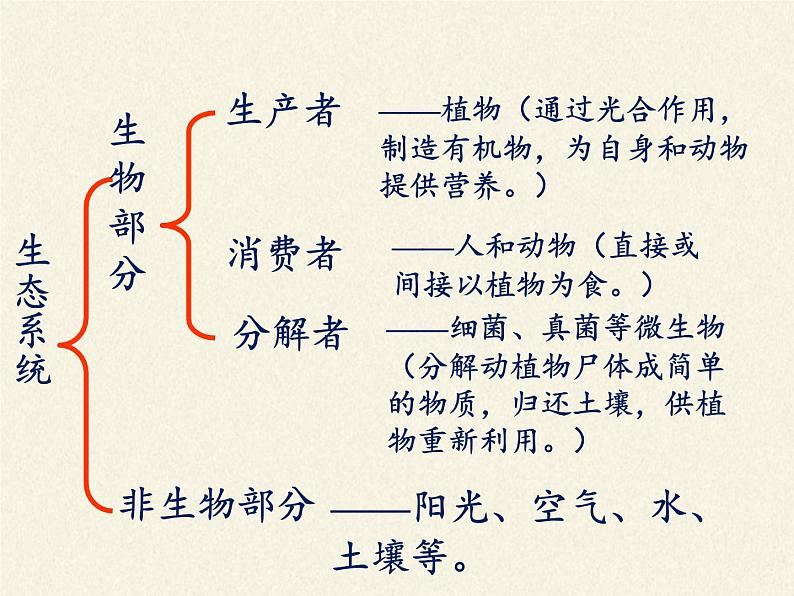 苏教版八年级生物上册 19.1 生态系统的组成 课件04