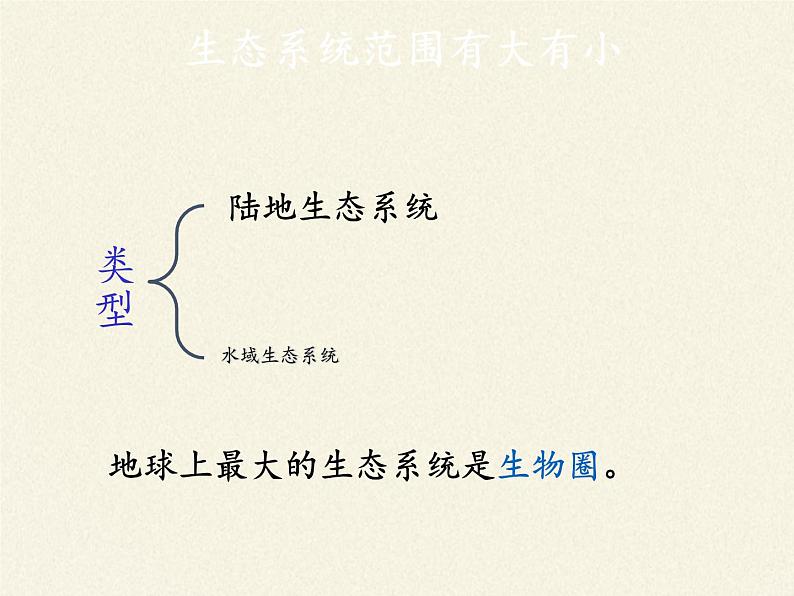 苏教版八年级生物上册 19.1 生态系统的组成 课件05