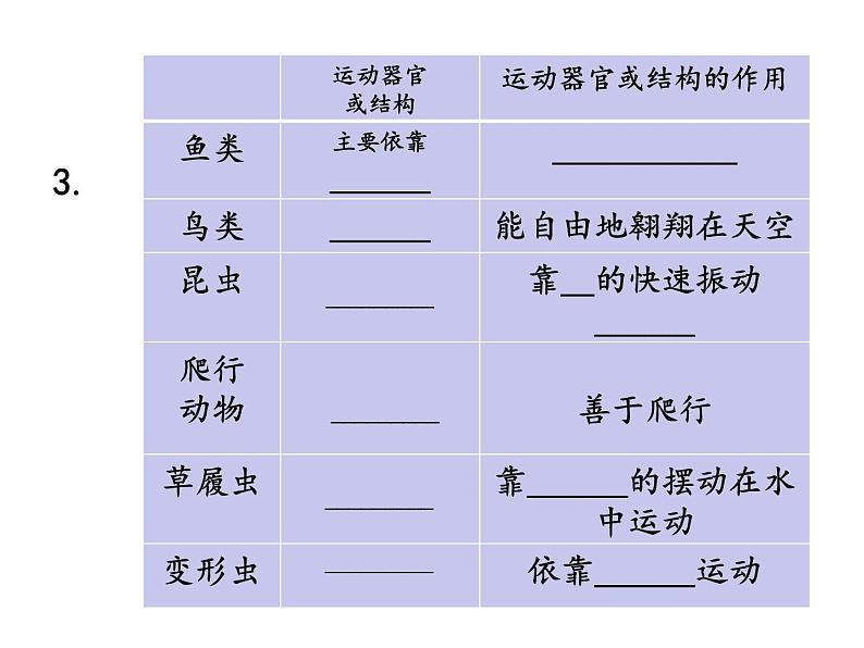 苏教版八年级生物上册 17.2 动物的运动依赖于一定的结构_ 课件05