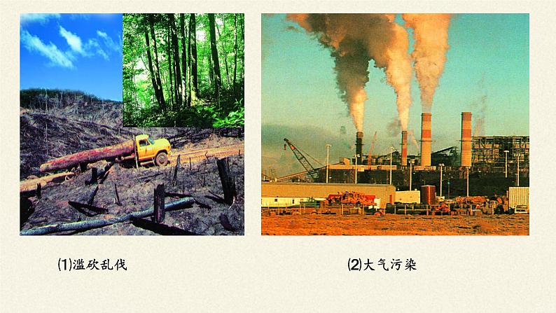 苏教版八年级生物上册 20.2 生物圈是生物的共同家园(2) 课件08