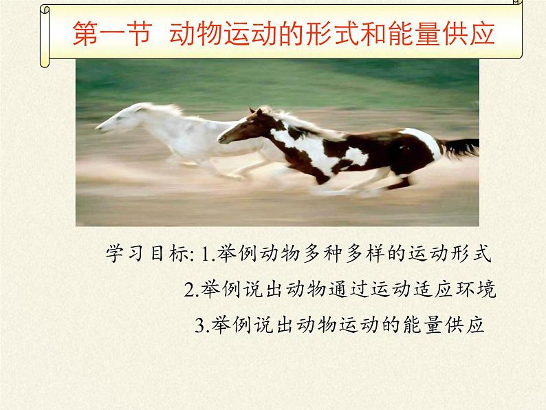 苏教版八年级生物上册 17.1 动物运动的形式和能量供应(3) 课件第6页