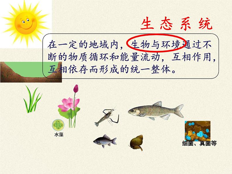 苏教版八年级生物上册 19.1 生态系统的组成(2) 课件06