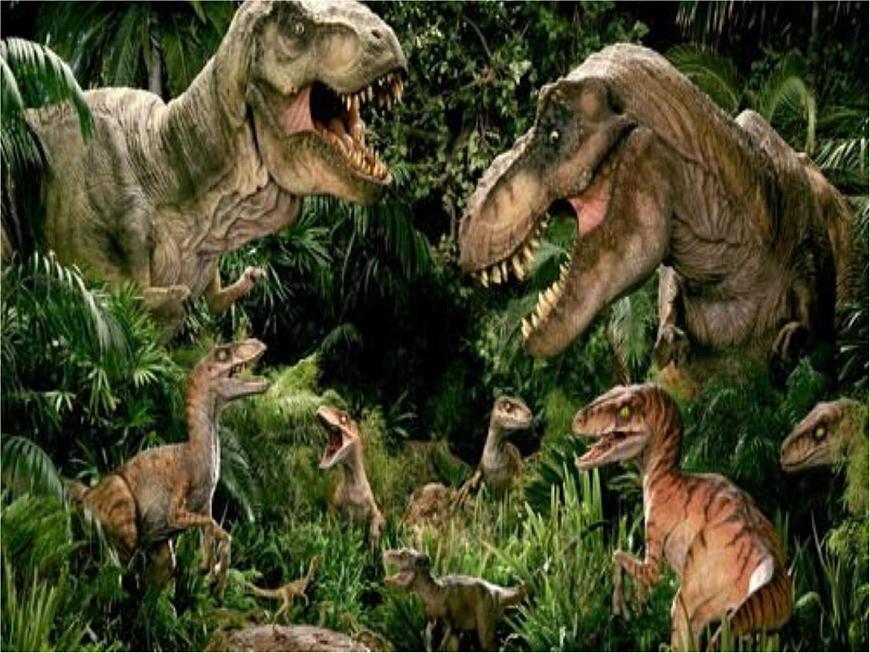 蘇教版八年級生物上冊 16.3 生物進化的學說(3) 課件第4頁