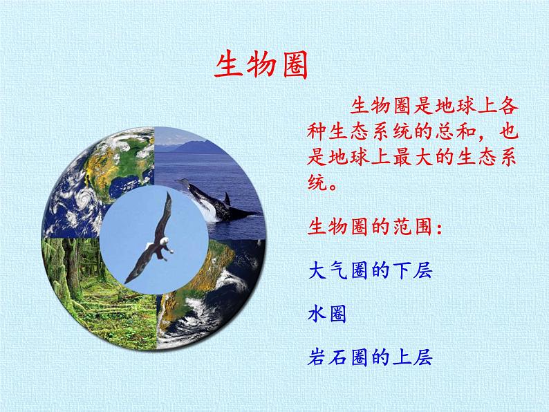 苏教版八年级生物上册 18.2 动物行为的生理基础(4) 课件第5页
