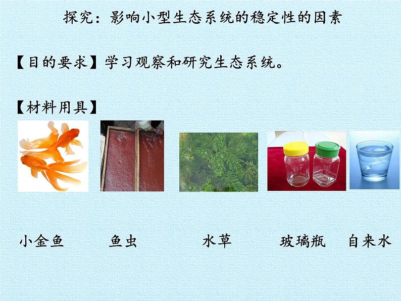 苏教版八年级生物上册 18.2 动物行为的生理基础(4) 课件第6页