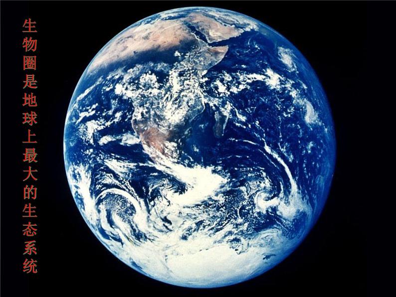 苏教版八年级生物上册 20.1 生物圈中的各种生态系统_ 课件05