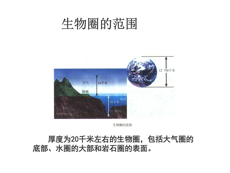 苏教版八年级生物上册 20.1 生物圈中的各种生态系统_ 课件06