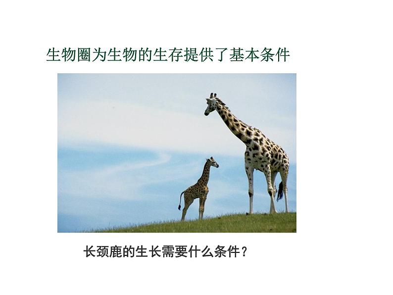 苏教版八年级生物上册 20.1 生物圈中的各种生态系统_ 课件08