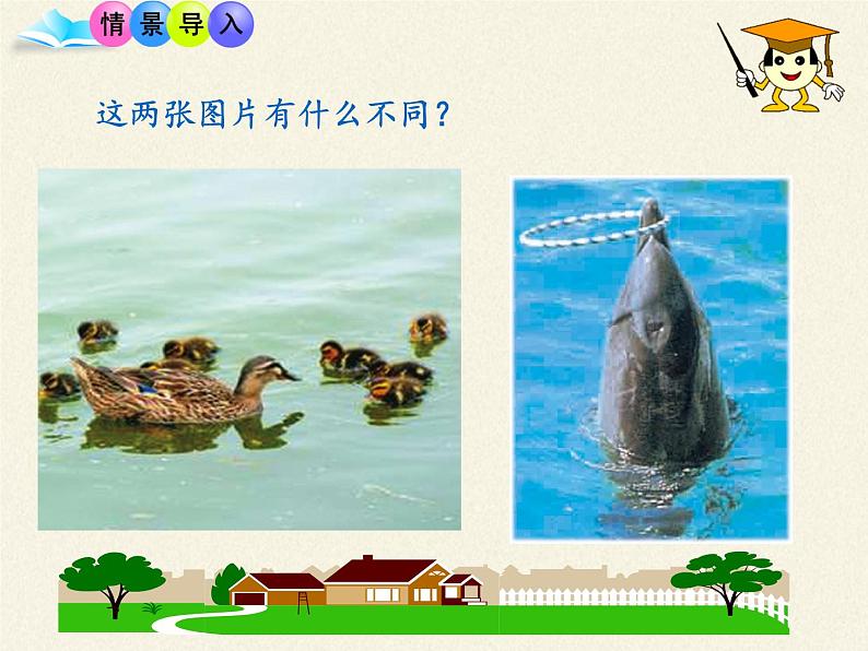 苏教版八年级生物上册 18.2 动物行为的生理基础 课件第2页