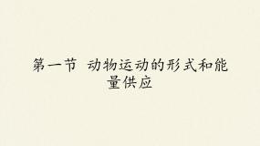 生物八年级上册第六单元 动物的运动和行为第十七章 动物的运动第一节 动物运动的形式和能量供应教案配套课件ppt