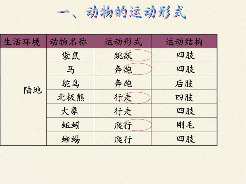 苏教版八年级生物上册 17.1  动物运动的形式和能量供应(8) 课件05