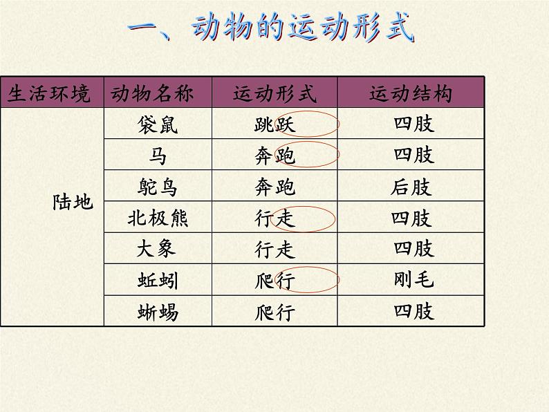苏教版八年级生物上册 17.1 动物运动的形式和能量供应(8) 课件第5页