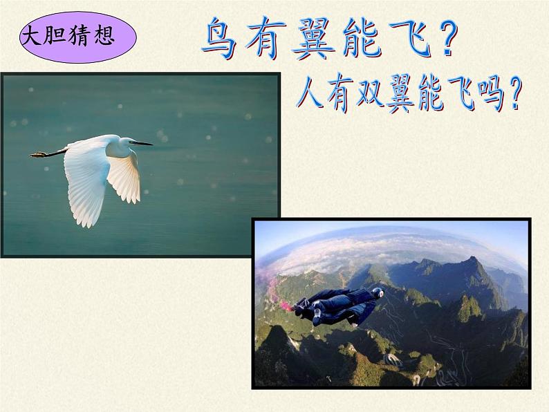 苏教版八年级生物上册 17.1 动物运动的形式和能量供应(8) 课件第7页