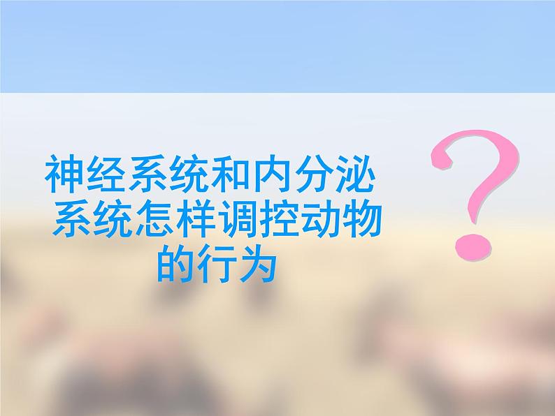 苏教版八年级生物上册 18.2 动物行为的生理基础 课件第5页