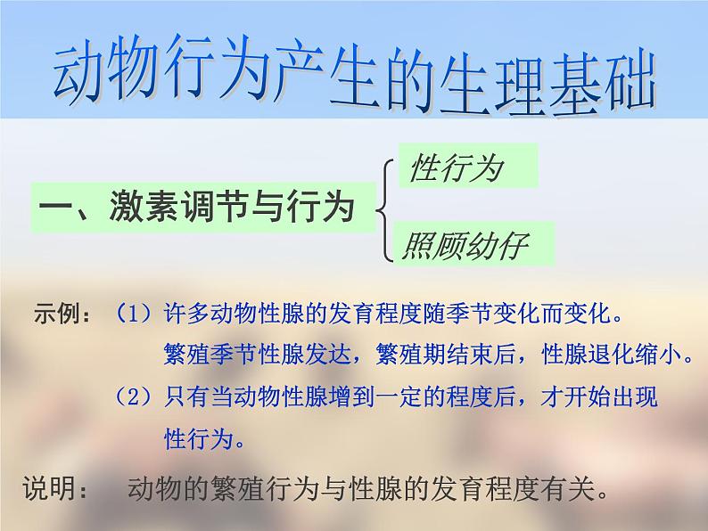 苏教版八年级生物上册 18.2 动物行为的生理基础 课件第6页