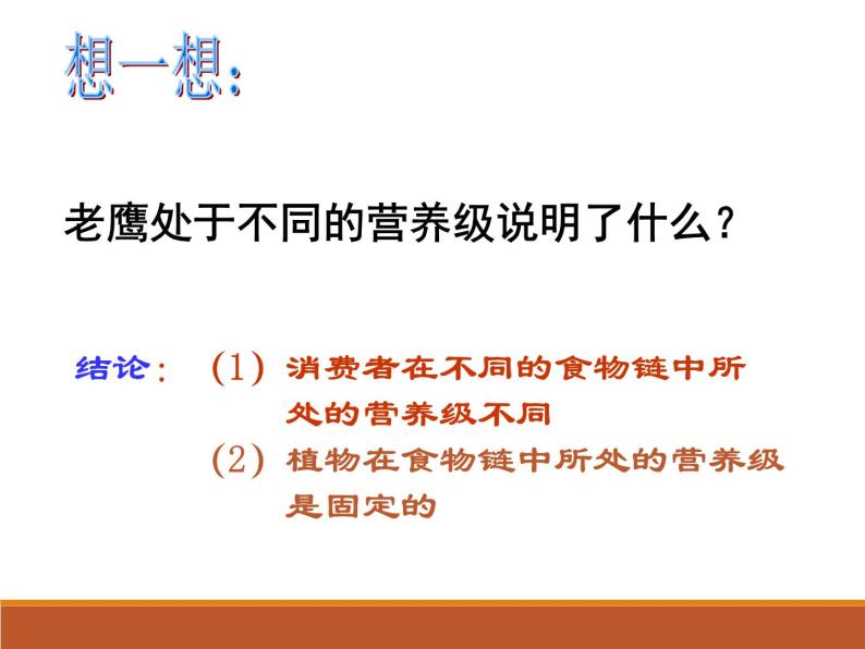 苏教版八年级生物上册 19.2生态系统中的能量流动和物质循环_ 课件06