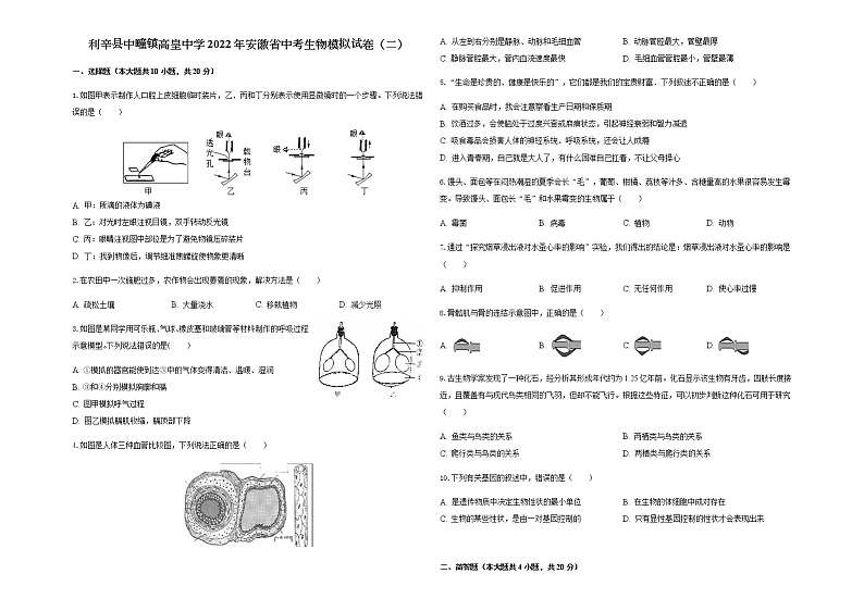 2022年安徽省亳州市利辛县中疃镇高皇中学中考模拟生物试卷(二)(word版含答案)01