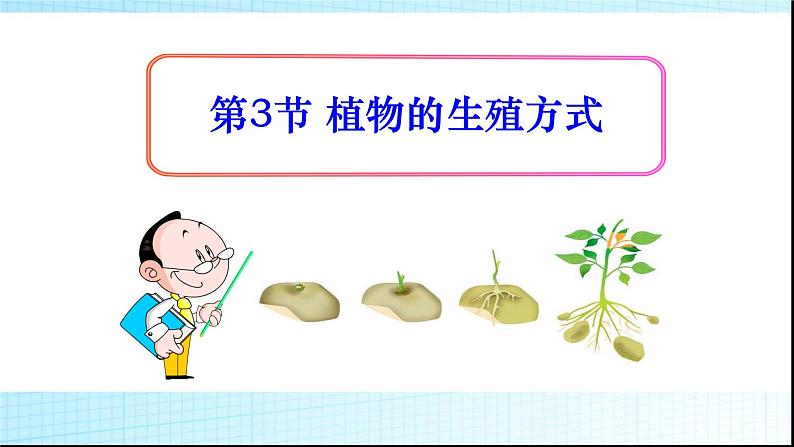 北师大版生物八年级上册第十九章《生命的延续》19.3 植物的生殖方式 教学PPT课件01
