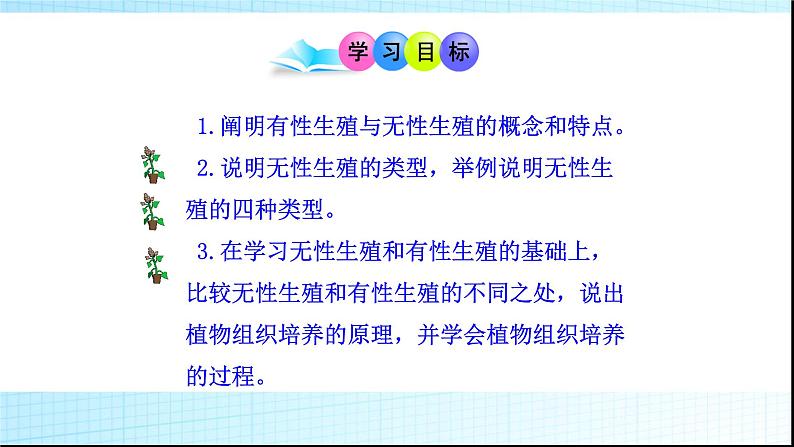 北师大版生物八年级上册第十九章《生命的延续》19.3 植物的生殖方式 教学PPT课件03