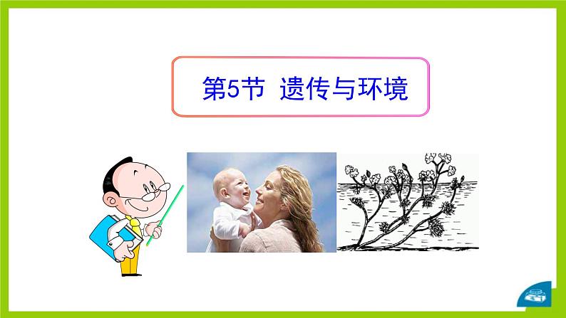 北师大版生物八年级上册第二十章《遗传和变异现象》20.5 遗传与环境 教学PPT课件第1页