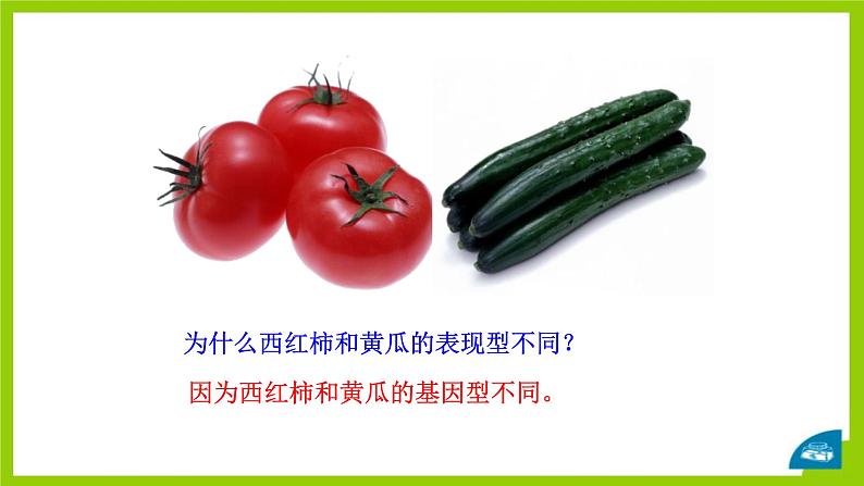 北师大版生物八年级上册第二十章《遗传和变异现象》20.5 遗传与环境 教学PPT课件第4页