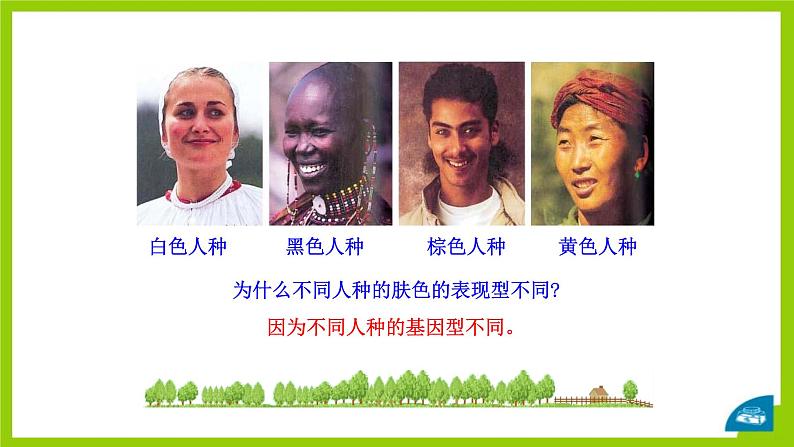 北师大版生物八年级上册第二十章《遗传和变异现象》20.5 遗传与环境 教学PPT课件第6页