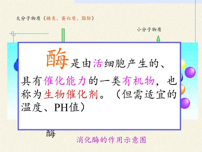 苏教版生物七年级下册 第九章 第二节 人体的消化与吸收(4)（课件）08