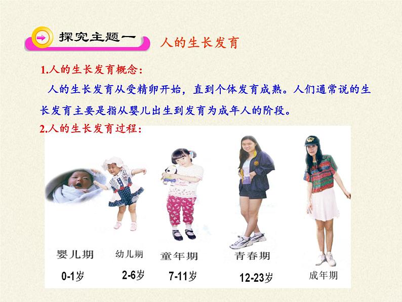 苏教版生物七年级下册 第八章 第二节 人的生长发育和青春期(3)(课件)04