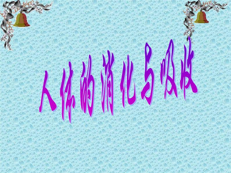 苏教版生物七年级下册 第九章 第二节 人体的消化与吸收_1(课件)01