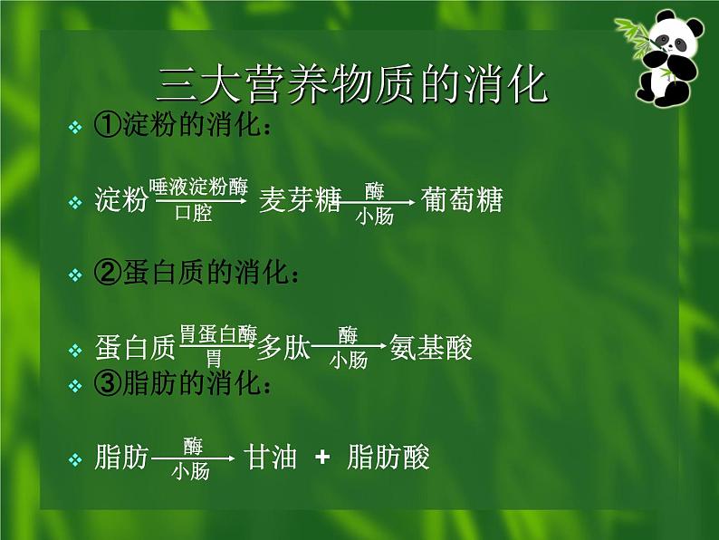 苏教版生物七年级下册 第九章 第二节 人体的消化与吸收_1(课件)05