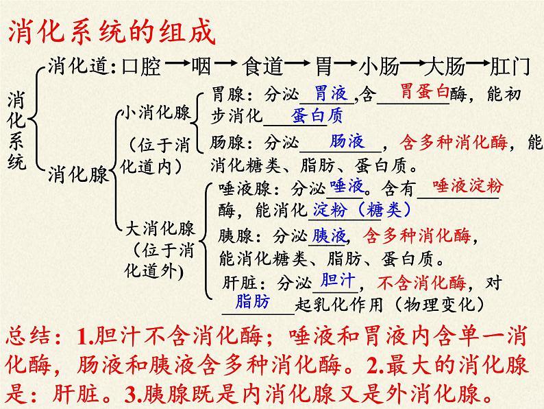 苏教版生物七年级下册 第九章 第一节 人体需要的主要营养物质(课件)第7页