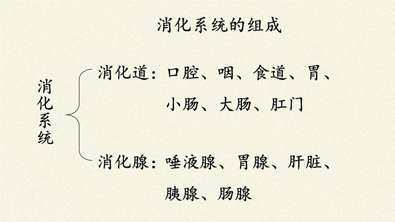 苏教版生物七年级下册 第九章 第二节 人体的消化与吸收(8)(课件)第4页