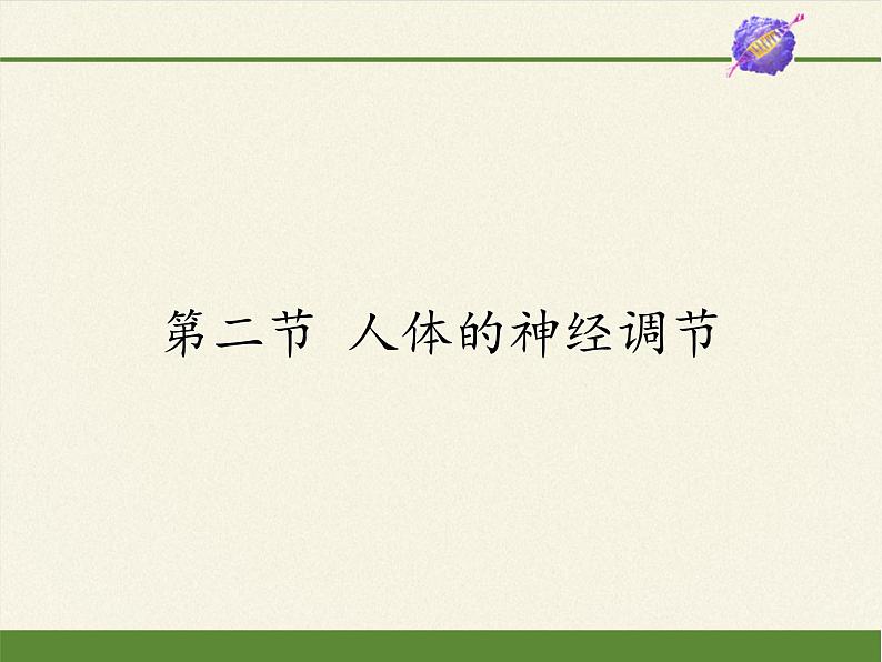 苏教版生物七年级下册 第十二章 第二节 人体的神经调节(1)(课件)第1页