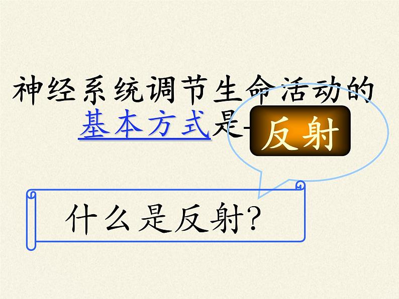 苏教版生物七年级下册 第十二章 第二节 人体的神经调节(1)(课件)第3页